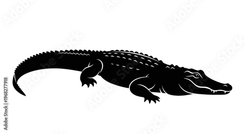 Alligator silhouette isolated on a white background.