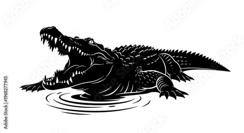 Powerful Alligator Roaring with Open Jaws in Water.