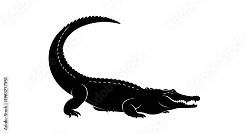 Black silhouette of a crocodile on a white background.