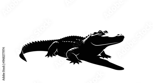 Alligator silhouette isolated on white background.
