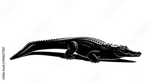 Alligator silhouette isolated on white background.