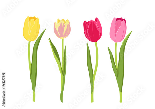 Coloring flowers. Set with tulips.