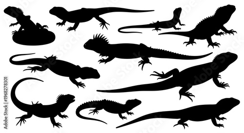 Collection of various lizard silhouettes in different poses, showcasing their unique shapes and forms.