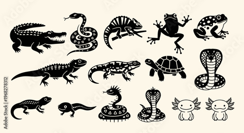 Collection of various reptile and amphibian species in black and white.