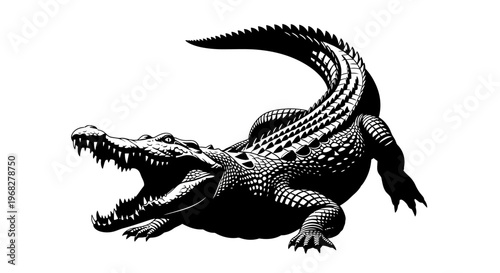 Powerful Alligator with Open Jaws Black and White Illustration.