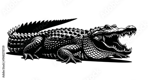 Powerful Alligator with Open Jaws Black and White Illustration.