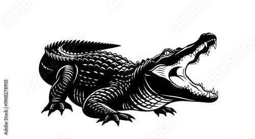 Powerful Alligator with Open Jaws Black and White Illustration.
