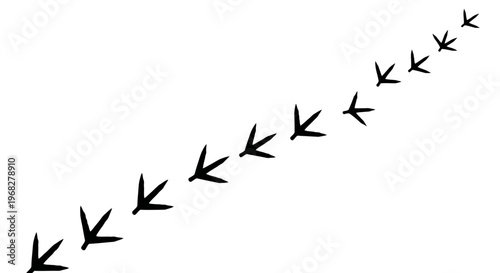 Diagonal trail of black bird footprints on a clean white background.