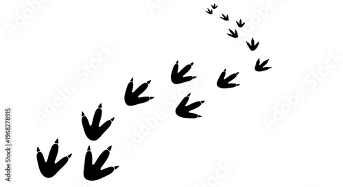 Dinosaur Footprints Isolated on White Background.