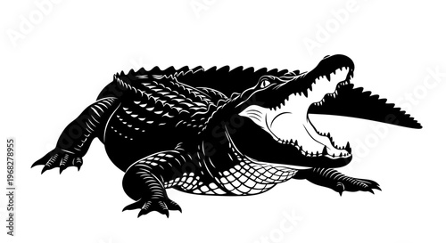 Powerful Alligator with Open Mouth and Sharp Teeth.