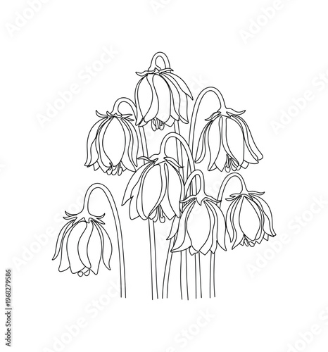 Drooping Flowers. Minimalistic one-line drawing wilted flowers with drooping petals, continuous single black line on white background, simple outline style, no