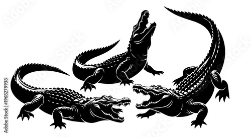 Three Alligators with Open Mouths in Black and White Illustration.