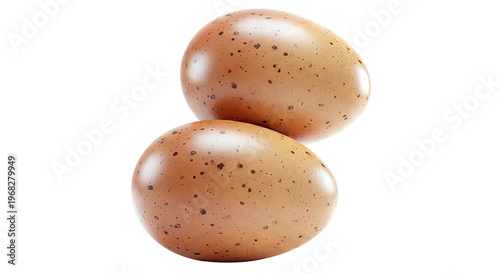 Two Brown Speckled Eggs