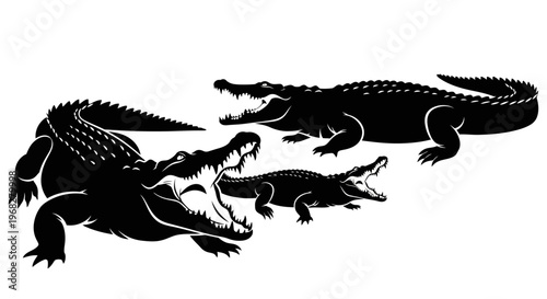 Three menacing crocodiles with open jaws, black and white illustration.