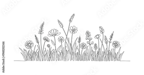 Spring Meadow. Minimalistic one-line drawing wildflowers of different heights and shapes growing naturally, continuous single black line on white background,