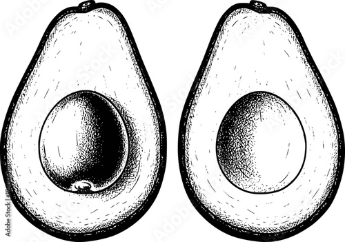 Hand Drawn Black and White Avocados Halved with Pit White Background fruit food