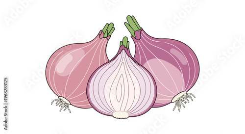 Vibrant Illustration of Three Red Onions, One Cut in Half, Showcasing Layers and Roots