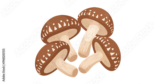 Illustration of four delicious shiitake mushrooms, showcasing their distinctive brown caps and creamy white stems on a clean white background