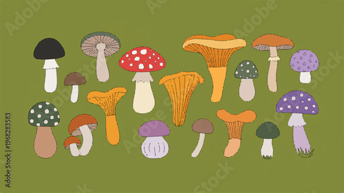 Whimsical Mushroom Variety: A delightful illustration showcasing a vibrant collection of various mushroom, each unique in shape, color, and texture, capturing the charm of the forest floor.