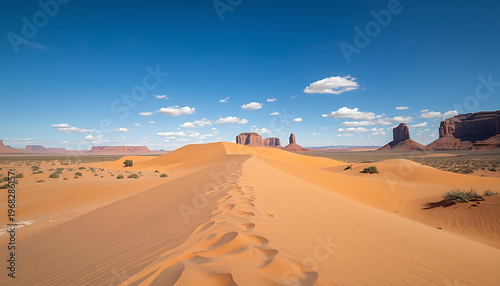 sand dunes in the sahara desert