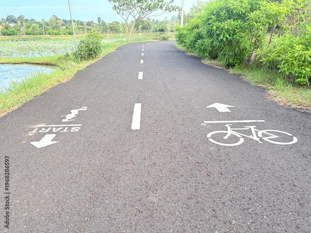 Fototapeta premium bicycle path in the park