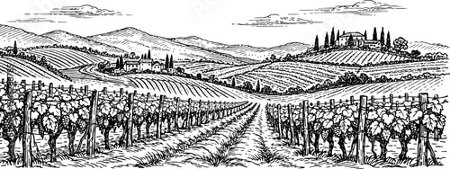 Vintage Vineyard Landscape Panorama with Winery and Rolling Hills Sketch