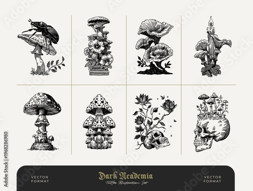 Dark Botanical Mixed Elements Vintage Engraving Illustration Set