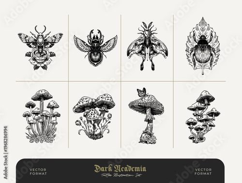 Dark Botanical Vintage Engraving Nature Illustration Set