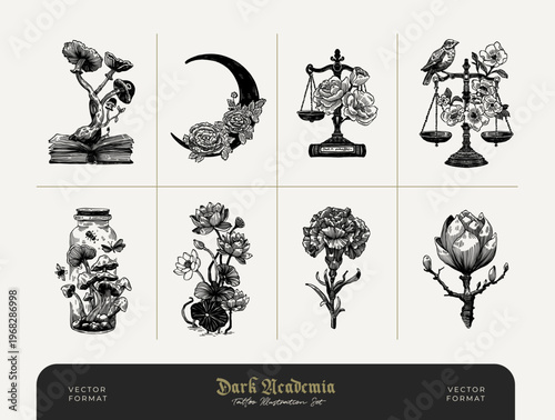 Dark Botanical Symbolic Elements Vintage Engraving Set