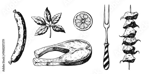 Vector illustration of a hand drawn sketch of a bird, fish, and peacock featuring animal nature art and reptile tattoo design symbols.