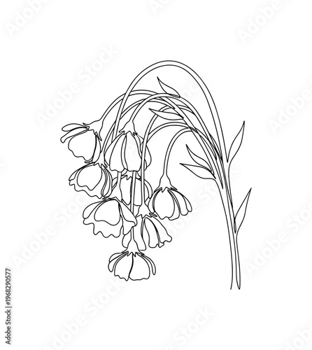 Drooping Floral Stems. Minimalistic one-line drawing flowers bending under weight, continuous single black line on white background, simple outline style, no