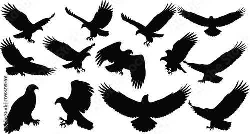Eagle silhouettes collection, flying birds of prey set, black raptor shapes, wildlife illustration, powerful wings, hunting pose, isolated design