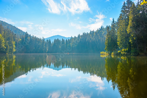 quiet morning by the lake. coniferous forest reflecting on the calm body of water. exquisite place in syneyr national park, ukraine. summer nature background image for earth day or esg report concept