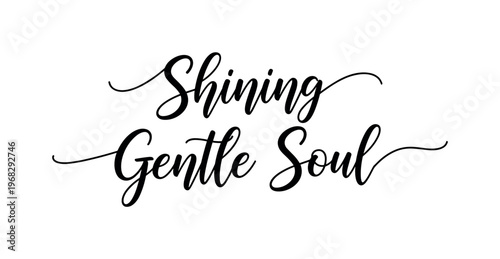 Shining Gentle Soul. lettering and all elements in black. Vector style. AWhite background. Pure white background. Perfect isolation and visual consistency.