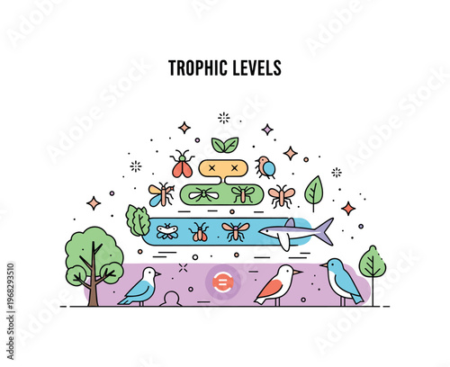 Trophic levels rainforest layers scene where plants, insects, birds, and predators appear in sequential levels while small sparkle and leaf icons emphasize