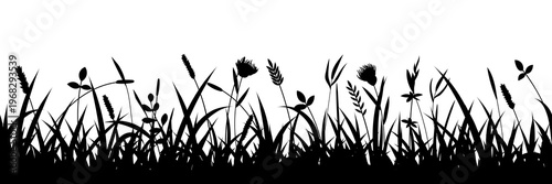 Drawn wild grass isolated on white background, seamless border, vector design