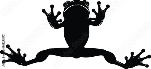 Frog silhouette illustration, amphibian animal black shape, wildlife nature concept, jumping frog pose, simple design, isolated, biology, natural habitat