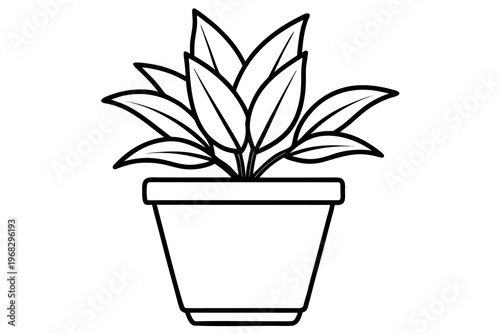 potted plant line art vector, potted plant outline