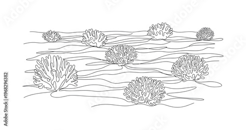 Coral and Seabed. Minimalistic one-line drawing underwater coral clusters and sand patterns on ocean floor, continuous single black line on white background,