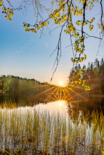 beautiful summer landscape at sunset