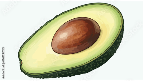 Vibrant Halved Avocado Illustration with Pit on White Background, Fresh Healthy Superfood Vector Graphic for Culinary Design