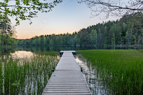 beautiful summer landscape at sunset