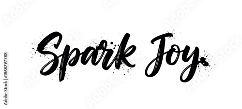 Spark Joy. lettering and all elements in black. Vector style. AWhite background. Pure white background. Perfect isolation and visual consistency. Grunge