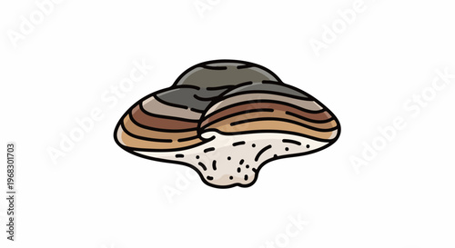 Cartoon style depiction of a scallop or bivalve shell with striped texture