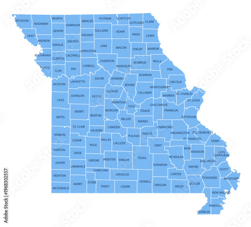 Canvas Print Missouri County Map, Detailed Vector Illustration of USA Administrative Boundari