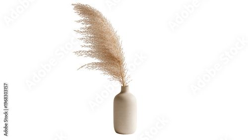 Bilde på lerret Tall beige pampas grass plume gracefully rising from a smooth cylindrical cerami