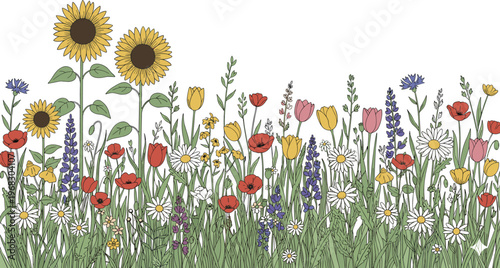 Flat vector illustration of diverse meadow wildflowers including sunflowers tulips poppies and daisies in line art style.