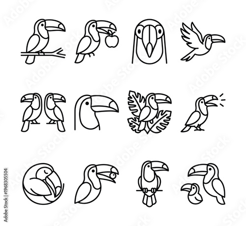 Collection of stylized toucan bird icons in various poses and activities