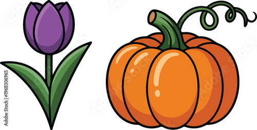 Vibrant Cartoon Vector Illustration Set Featuring a Purple Tulip Flower and a Large Orange Autumn Pumpkin with Green Stem Isolated on White Background