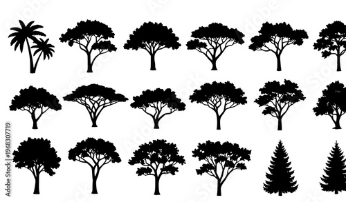 Big tree silhouettes set tropical temperate and conifer forest trees vector collection eps10